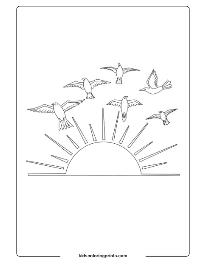 Birds Soaring Over a Sunset