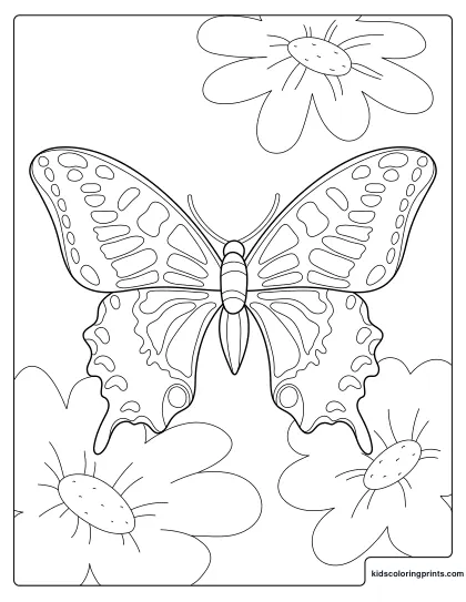 Butterfly Coloring Page With A Large Butterfly Surrounded By Blooming Flowers.