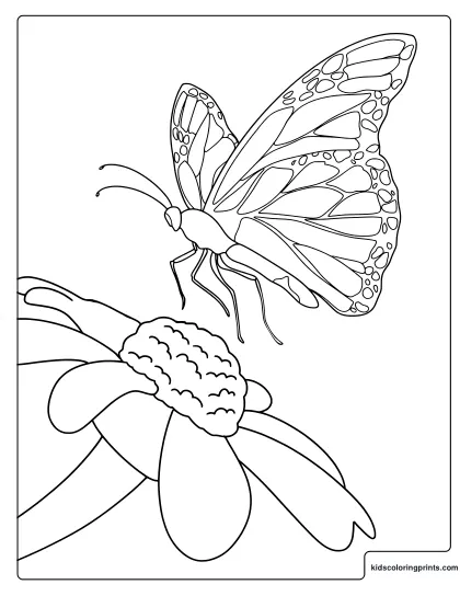 Butterfly On Flower Coloring Page With Detailed Wings And Petals