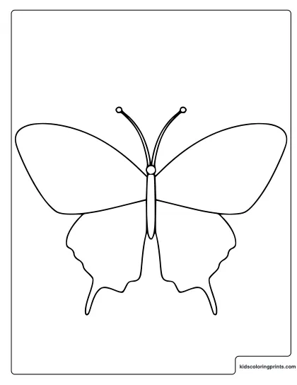 Butterfly Template Coloring Page With Simple Open Wings
