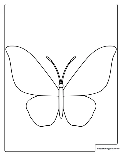 Butterfly Template Coloring Page With Rounded Wings