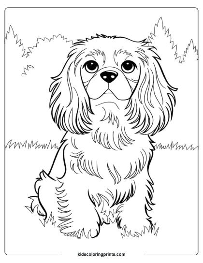 Cavalier King Charles Spaniel Sitting Calmly In Front Of Trees With Long, Wavy Fur In A Dog Coloring Page.