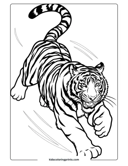 Chasing Tiger Coloring Page Showing A Tiger Mid-Sprint, With Intense Eyes And Bold Stripes.