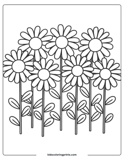 A Group Of Daisies Arranged Closely Together, Offering A Lively And Cheerful Garden Scene To Color.