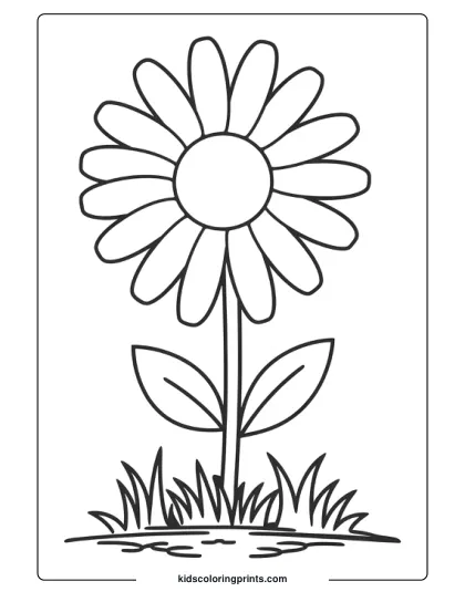 A Simple Daisy Growing In Grass, Highlighting Natural Beauty In A Clean, Straightforward Design.