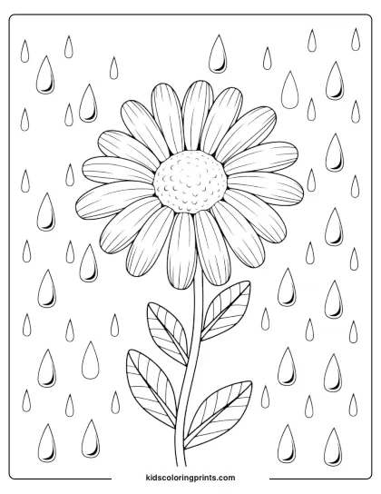 A Daisy Standing Tall With Raindrops Falling Around, Creating A Peaceful And Calming Scene.