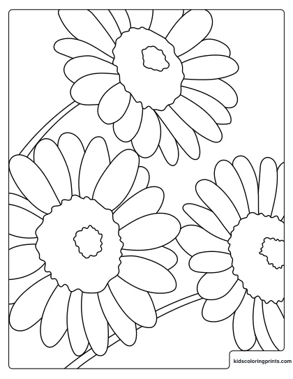 Flower Coloring Page Showing Large Daisy Blooms Overlapping Each Other.
