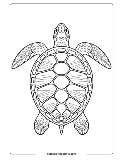 Detailed Sea Turtle Coloring Page With A Gradient Shell Design, Focusing On Realistic And Intricate Details.