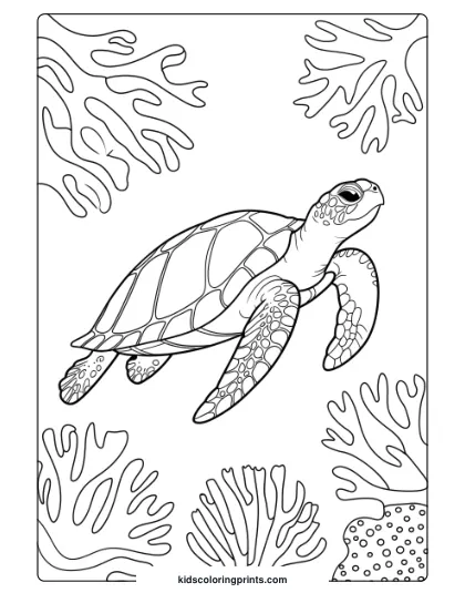 Turtle Coloring Page With Coral Reefs, Focusing On Intricate Details Of Both The Turtle And Underwater Scenery.
