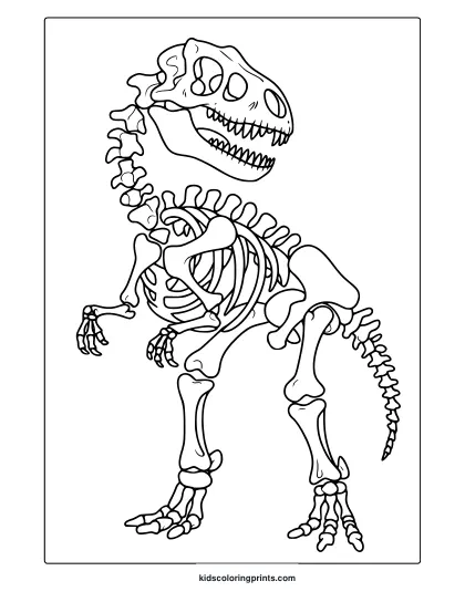 A T-Rex Skeleton From Skull To Tail Is Shown In This Clean-Lined Dinosaur Coloring Page With Educational Detail.