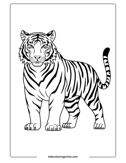 Fierce Tiger Coloring Page Showing A Standing Tiger With Strong, Detailed Stripes In A Powerful, Majestic Pose.