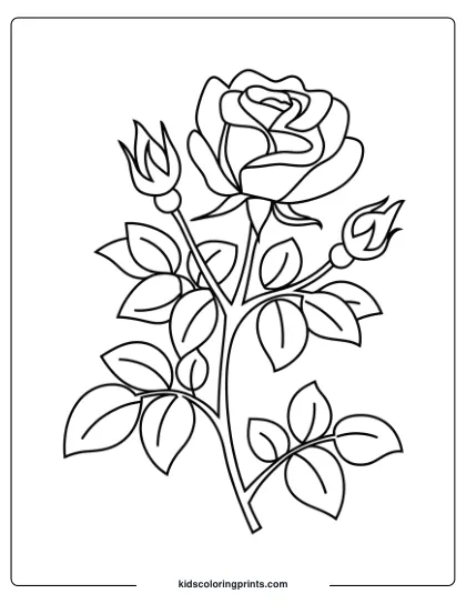 Coloring Page Of A Rose With Buds Symbolizing Spring’s First Bloom, Offering Detailed Petals And Leaves.