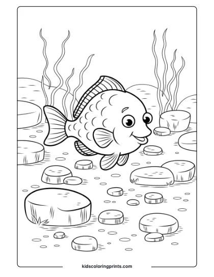 A Fish Explores A Rocky Seabed With Stones And Plants Around, Creating A Natural Setting For Coloring Exploration.