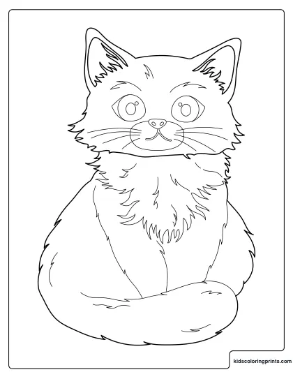 Cat Coloring Page Showing A Fluffy Kitten Sitting Calmly With Big Eyes.