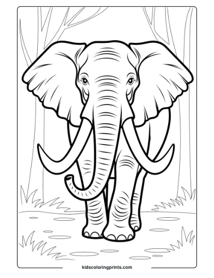 Coloring Page Of A Tusked Elephant In A Forest.