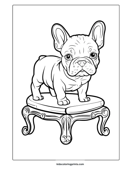 A French Bulldog On A Decorative Stool. A Stylish French Bulldog Puppy Coloring Page For All Ages.
