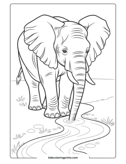 Coloring Page Of An Elephant Drinking From A Stream.