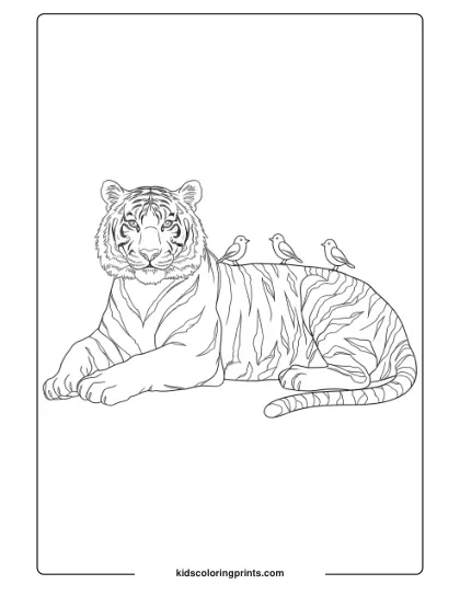 Gentle Tiger Coloring Page With Birds Perched On The Tiger, Highlighting Peaceful Coexistence.