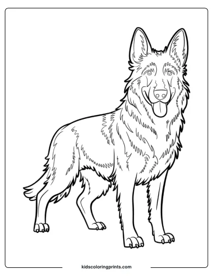 Shepherd Standing Upright With Pointed Ears And A Friendly Expression In A Dog Coloring Page.
