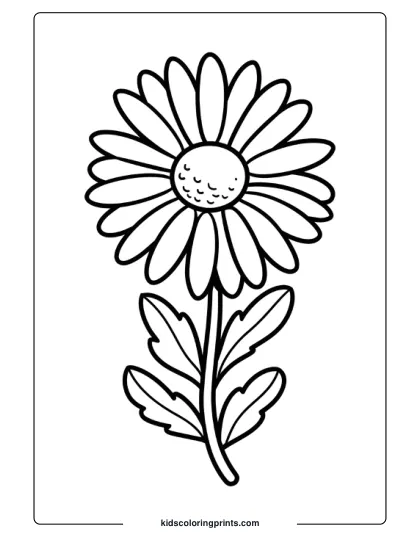 A Large Daisy With Numerous Petals Radiating Outward And A Slender Stem, Perfect For Detailed Coloring.