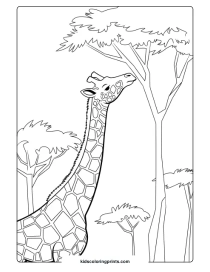Giraffe Eating From A Tree In A Scenic Coloring Page, Perfect For Nature-Themed Coloring Fun.