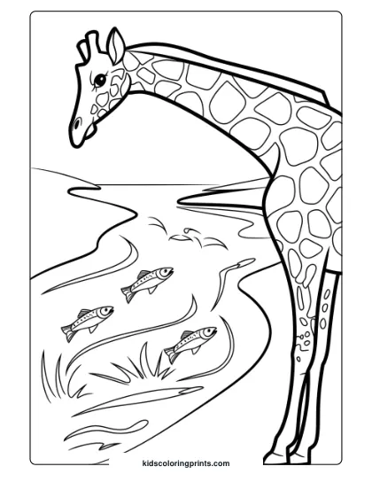 Giraffe By A River With Fish In A Scenic Coloring Page, Perfect For Aquatic And Land Animals Lovers.