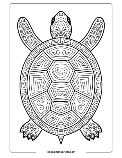 Challenging Turtle Coloring Page With Intricate Patterns, Perfect For Advanced Coloring Fans.