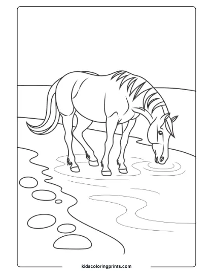 A Serene Horse Drinking By The River, Providing A Peaceful Coloring Experience.