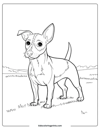Jack Russell Terrier With Perked Ears Standing Confidently In A Field In A Dog Coloring Page.
