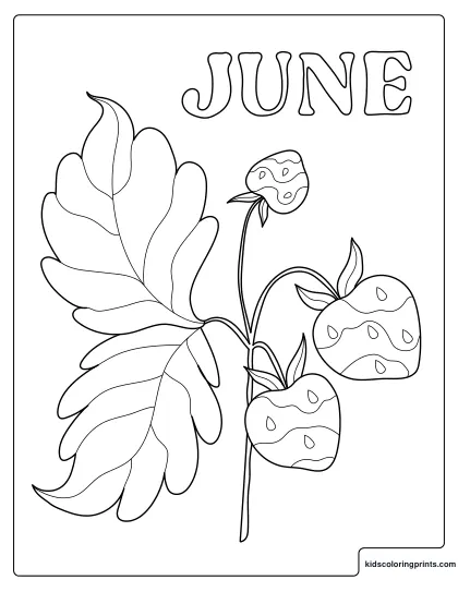 June Coloring Page Showing A Strawberry Branch With Ripe Fruit And Large Leaves.