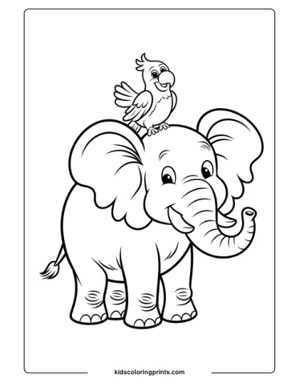 Coloring Page Of An Elephant And A Parrot Together.