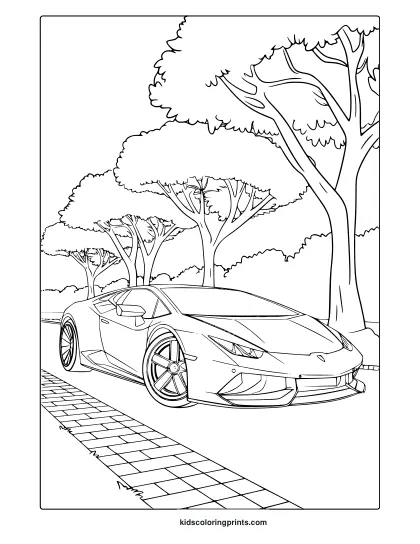 A Lamborghini Sports Car On A Paved Road With Trees, Ideal For A Lamborghini Car Coloring Page.