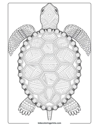 Mandala Turtle Coloring Page With Geometric Patterns, Ideal For Fans Of Detailed Coloring Pages.