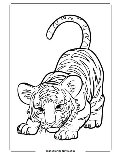 Mischievous Tiger Cub Coloring Page Showing A Crouching Cub With Curious Eyes And Detailed Stripes.