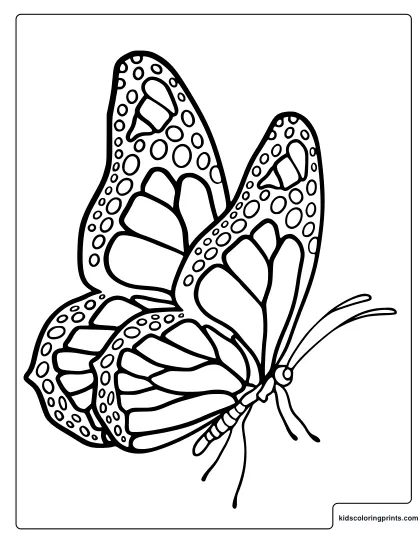 Monarch Butterfly Coloring Page In Side View