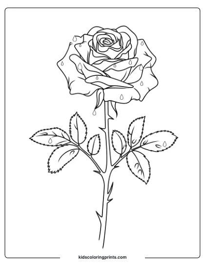 Coloring Page Of A Rose With Dewdrops On Its Petals, Capturing A Fresh Morning Scene In Natural Detail.