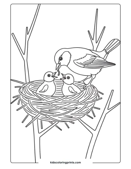 A Mother Bird Feeding Her Chicks In A Nest, Perfect For A Nature-Themed Bird Coloring Page For Kids.