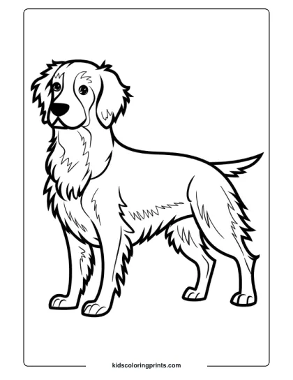 Nova Scotia Retriever Standing Upright With Long, Wavy Fur In A Dog Coloring Page.