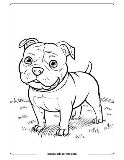 Pitbull Standing On Grass With Perked-Up Ears In A Dog Coloring Page.