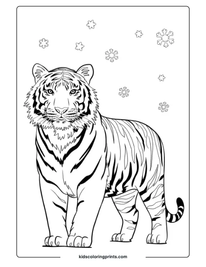 Proud Tiger In Snow Coloring Page With A Majestic Tiger Standing Among Falling Snowflakes.