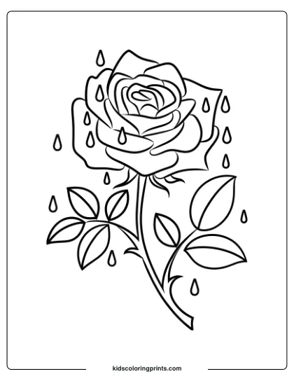 Coloring Page Of A Rose With Raindrops On Petals, Creating A Fresh, Natural Look Perfect For Intricate Coloring.