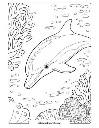 A Realistic Dolphin Surrounded By Coral Reefs, Highlighting Marine Beauty For A Coloring Page.