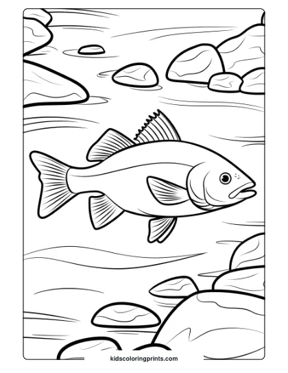 A Realistic Fish Moves Through A Rocky Stream, With Smooth Pebbles Beneath In A Soothing Nature-Themed Coloring Page.