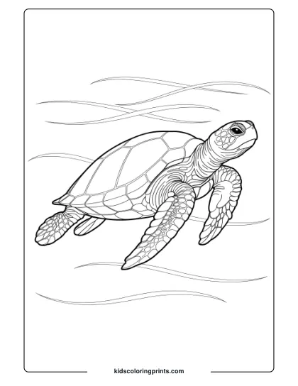 Realistic Sea Turtle In Blue Waters Coloring Page, Perfect For An Immersive Underwater Scene.