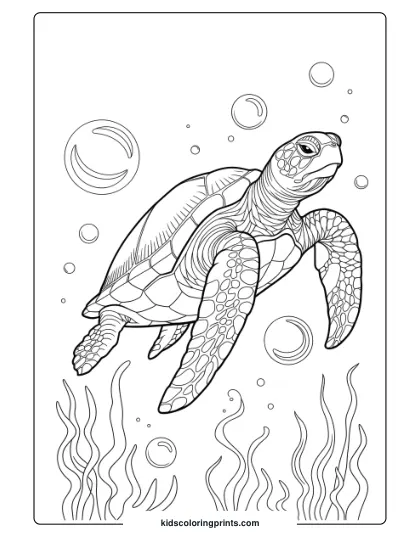 Sea Turtle And Bubbles Coloring Page, Featuring A Realistic Turtle In A Lively Underwater Scene.