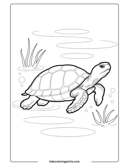 Realistic Turtle In Water Coloring Page, Showcasing A Serene Underwater Scene With Gentle Movement.