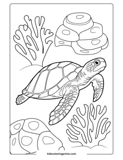 Realistic Turtle Coloring Page With Coral Details, Showcasing Underwater Flora And Fauna.