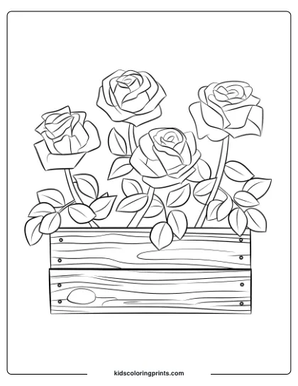 Coloring Page Of Roses In A Flower Box, Combining The Rustic Charm Of Wood With Floral Beauty.