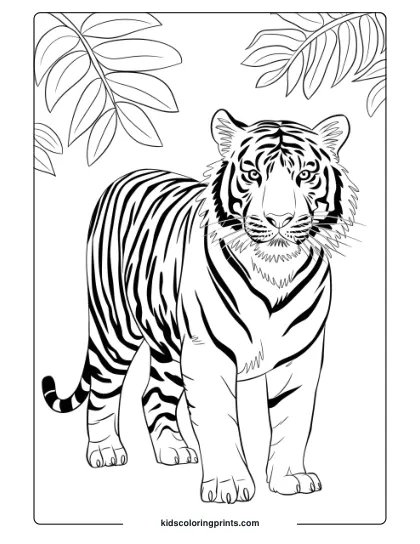 Royal Bengal Tiger Coloring Page With A Tiger Standing Among Tropical Leaves, Displaying Bold Stripes.
