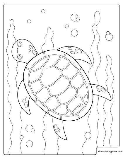 Turtle Coloring Page Showing A Sea Turtle Swimming Peacefully Among Bubbles And Sea Plants.
